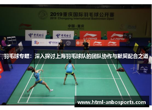 羽毛球专题：深入探讨上海羽毛球队的团队协作与默契配合之道